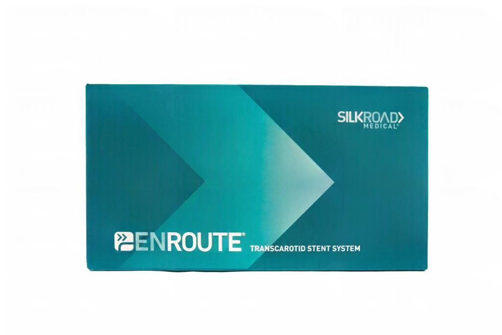 SILK ROAD MEDICAL, INC: SR-0930-CS-Each-EXPIRED